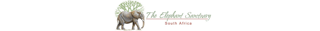 Elephant Sanctuary South Africa